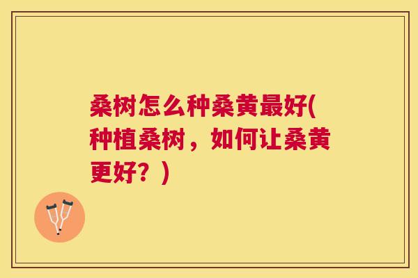 桑树怎么种桑黄好(种植桑树，如何让桑黄更好？)
