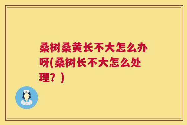 桑树桑黄长不大怎么办呀(桑树长不大怎么处理?) 桑树桑黄长不大怎么办呀(桑树长不大怎么处理?)