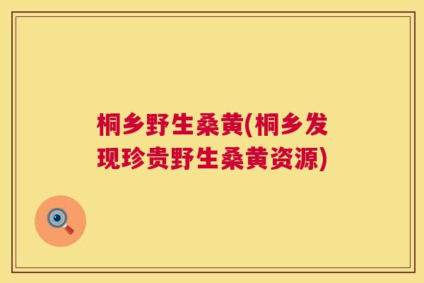 桐乡野生桑黄(桐乡发现珍贵野生桑黄资源) 桐乡野生桑黄(桐乡发现珍贵野生桑黄资源)