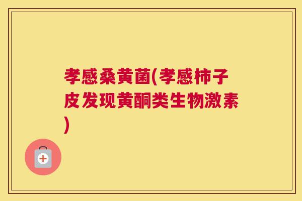 孝感桑黄菌(孝感柿子皮发现黄酮类生物激素) 孝感桑黄菌(孝感柿子皮发现黄酮类生物激素)