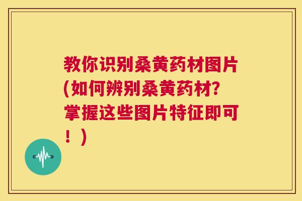 教你识别桑黄药材图片(如何辨别桑黄药材?掌握这些图片特征即可!) 教你识别桑黄药材图片(如何辨别桑黄药材?掌握这些图片特征即可!)