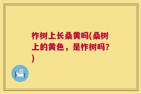 柞树上长桑黄吗(桑树上的黄色,是柞树吗?) 柞树上长桑黄吗(桑树上的黄色,是柞树吗?)