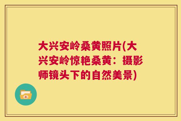 大兴安岭桑黄照片(大兴安岭惊艳桑黄:摄影师镜头下的自然美景) 大兴安岭桑黄照片(大兴安岭惊艳桑黄:摄影师镜头下的自然美景)