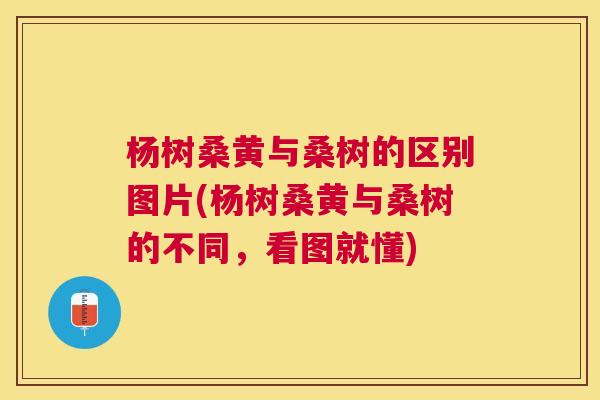 杨树桑黄与桑树的区别图片(杨树桑黄与桑树的不同,看图就懂) 杨树桑黄与桑树的区别图片(杨树桑黄与桑树的不同,看图就懂)