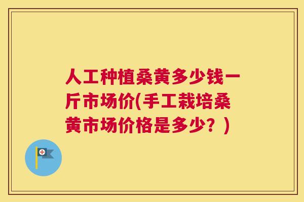 人工种植桑黄多少钱一斤市场价(手工栽培桑黄市场价格是多少?) 人工种植桑黄多少钱一斤市场价(手工栽培桑黄市场价格是多少?)