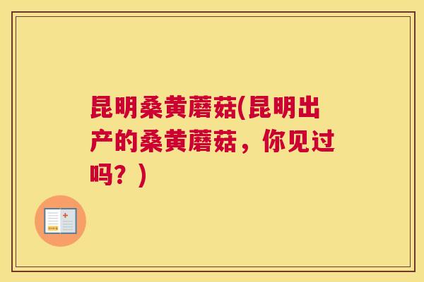 昆明桑黄蘑菇(昆明出产的桑黄蘑菇,你见过吗?) 昆明桑黄蘑菇(昆明出产的桑黄蘑菇,你见过吗?)