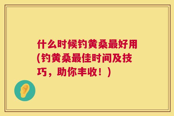什么时候钓黄桑好用(钓黄桑佳时间及技巧,助你丰收!) 什么时候钓黄桑好用(钓黄桑佳时间及技巧,助你丰收!)