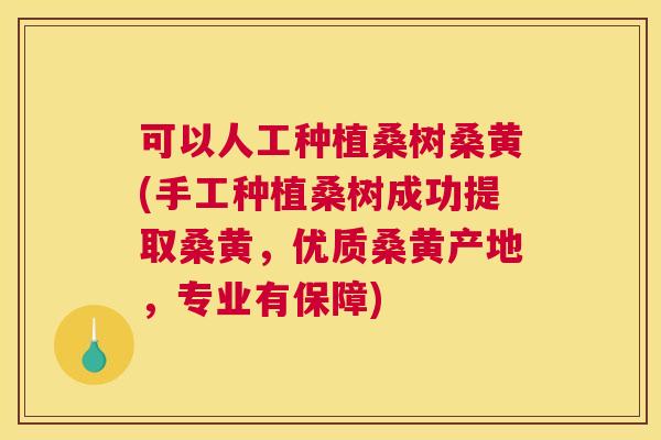 可以人工种植桑树桑黄(手工种植桑树成功提取桑黄,优质桑黄产地,专业有保障) 可以人工种植桑树桑黄(手工种植桑树成功提取桑黄,优质桑黄产地,专业有保障)