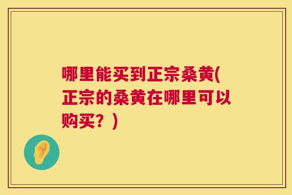 哪里能买到正宗桑黄(正宗的桑黄在哪里可以购买?) 哪里能买到正宗桑黄(正宗的桑黄在哪里可以购买?)