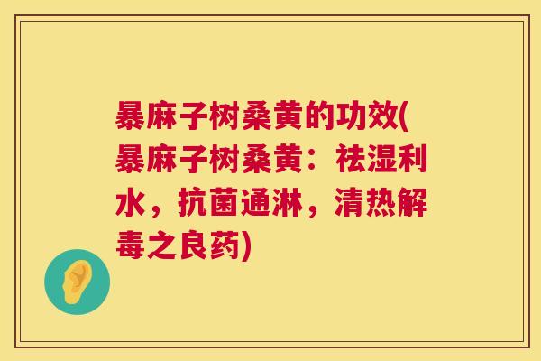 暴麻子树桑黄的功效(暴麻子树桑黄：祛湿利水，通淋，清热之良药)