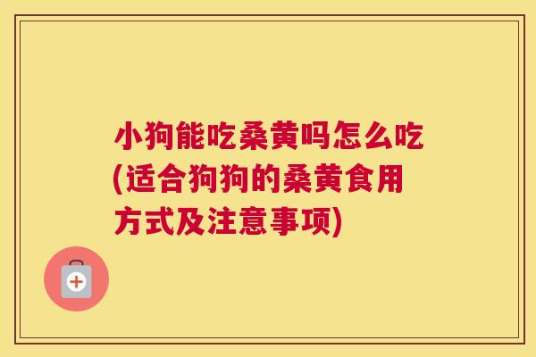 小狗能吃桑黄吗怎么吃(适合狗狗的桑黄食用方式及注意事项) 小狗能吃桑黄吗怎么吃(适合狗狗的桑黄食用方式及注意事项)