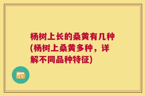 杨树上长的桑黄有几种(杨树上桑黄多种,详解不同品种特征) 杨树上长的桑黄有几种(杨树上桑黄多种,详解不同品种特征)