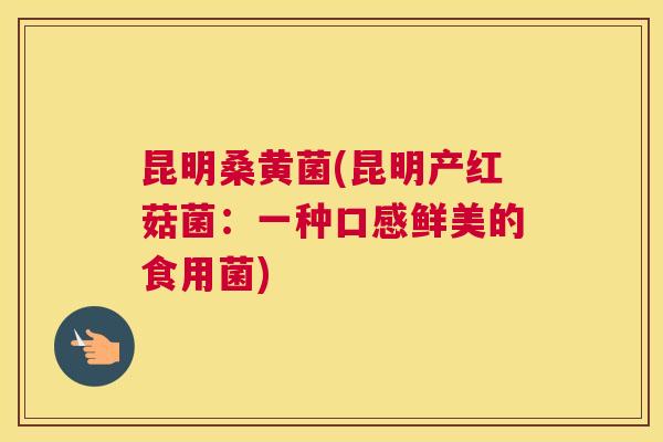 昆明桑黄菌(昆明产红菇菌：一种口感鲜美的食用菌)