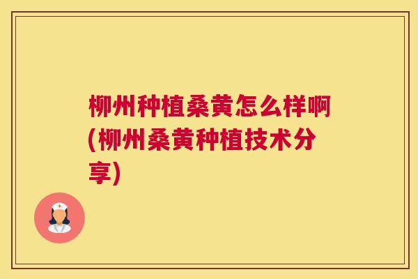 柳州种植桑黄怎么样啊(柳州桑黄种植技术分享) 柳州种植桑黄怎么样啊(柳州桑黄种植技术分享)