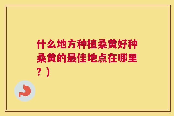 什么地方种植桑黄好种桑黄的佳地点在哪里?) 什么地方种植桑黄好种桑黄的佳地点在哪里?)