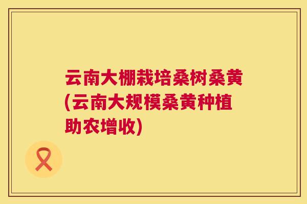 云南大棚栽培桑树桑黄(云南大规模桑黄种植助农增收)