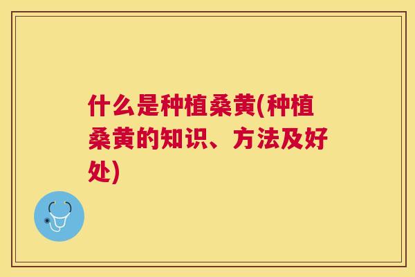 什么是种植桑黄(种植桑黄的知识、方法及好处) 什么是种植桑黄(种植桑黄的知识、方法及好处)