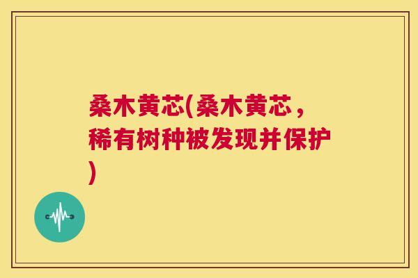 桑木黄芯(桑木黄芯,稀有树种被发现并保护) 桑木黄芯(桑木黄芯,稀有树种被发现并保护)