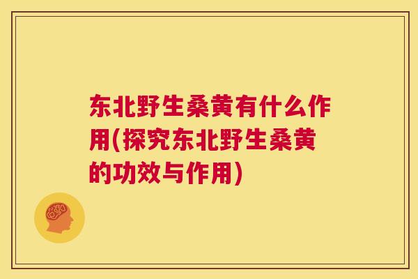 东北野生桑黄有什么作用(探究东北野生桑黄的功效与作用) 东北野生桑黄有什么作用(探究东北野生桑黄的功效与作用)