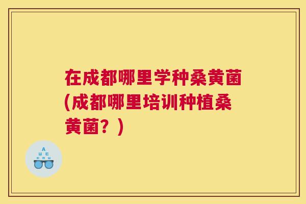 在成都哪里学种桑黄菌(成都哪里培训种植桑黄菌?) 在成都哪里学种桑黄菌(成都哪里培训种植桑黄菌?)