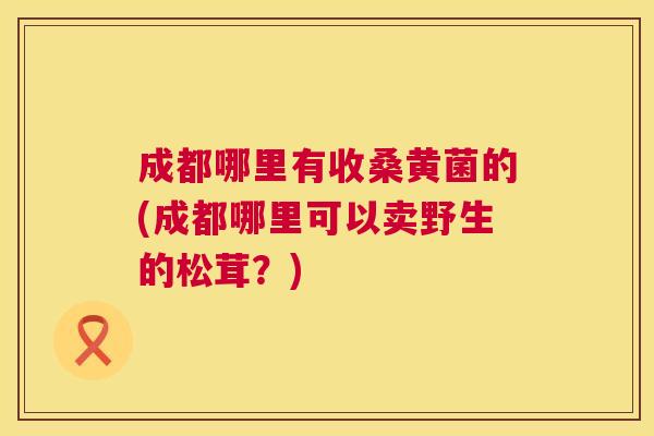 成都哪里有收桑黄菌的(成都哪里可以卖野生的松茸?) 成都哪里有收桑黄菌的(成都哪里可以卖野生的松茸?)