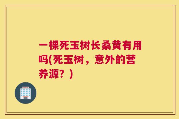 一棵死玉树长桑黄有用吗(死玉树,意外的营养源?) 一棵死玉树长桑黄有用吗(死玉树,意外的营养源?)