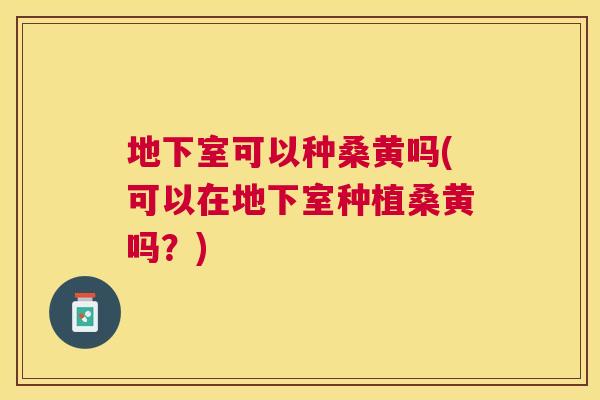 地下室可以种桑黄吗(可以在地下室种植桑黄吗?) 地下室可以种桑黄吗(可以在地下室种植桑黄吗?)