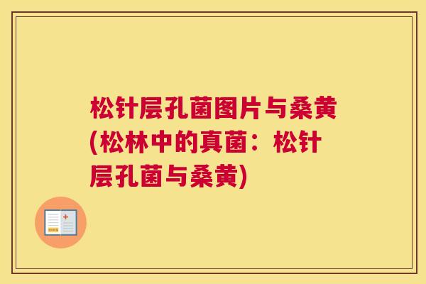 松针层孔菌图片与桑黄(松林中的真菌:松针层孔菌与桑黄) 松针层孔菌图片与桑黄(松林中的真菌:松针层孔菌与桑黄)
