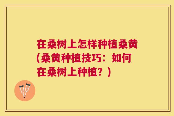 在桑树上怎样种植桑黄(桑黄种植技巧:如何在桑树上种植?) 在桑树上怎样种植桑黄(桑黄种植技巧:如何在桑树上种植?)
