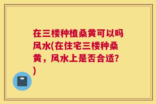 在三楼种植桑黄可以吗风水(在住宅三楼种桑黄,风水上是否合适?) 在三楼种植桑黄可以吗风水(在住宅三楼种桑黄,风水上是否合适?)