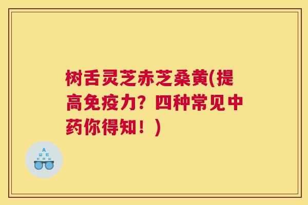 树舌灵芝赤芝桑黄(提高力?四种常见你得知!) 树舌灵芝赤芝桑黄(提高力?四种常见你得知!)
