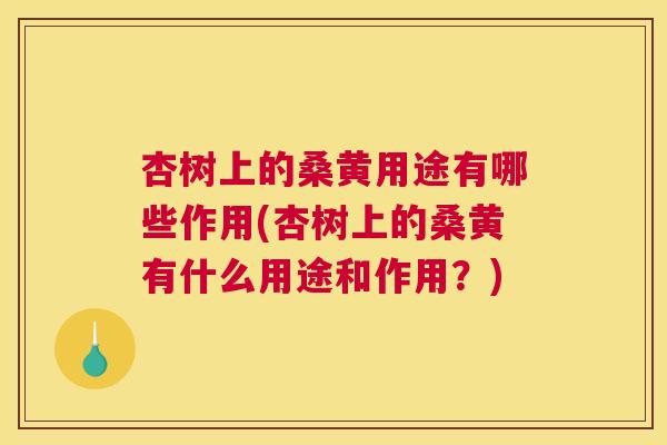 杏树上的桑黄用途有哪些作用(杏树上的桑黄有什么用途和作用?) 杏树上的桑黄用途有哪些作用(杏树上的桑黄有什么用途和作用?)
