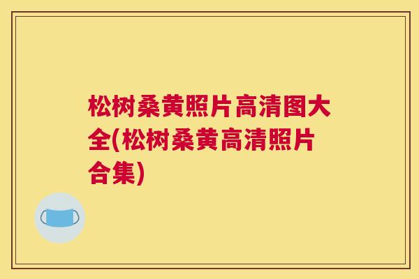 松树桑黄照片高清图大全(松树桑黄高清照片合集) 松树桑黄照片高清图大全(松树桑黄高清照片合集)