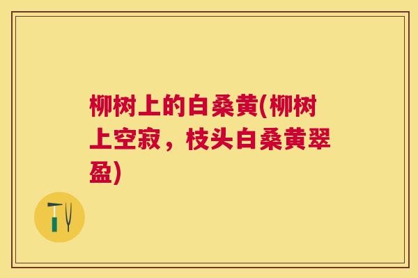 柳树上的白桑黄(柳树上空寂,枝头白桑黄翠盈) 柳树上的白桑黄(柳树上空寂,枝头白桑黄翠盈)