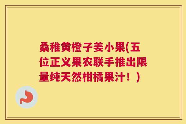 桑稚黄橙子姜小果(五位正义果农联手推出限量纯天然柑橘果汁!) 桑稚黄橙子姜小果(五位正义果农联手推出限量纯天然柑橘果汁!)