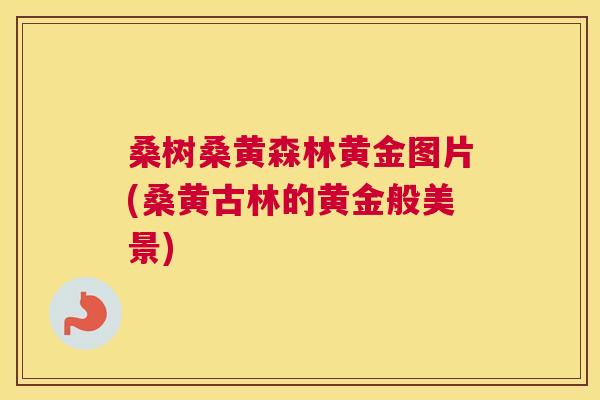 桑树桑黄森林黄金图片(桑黄古林的黄金般美景) 桑树桑黄森林黄金图片(桑黄古林的黄金般美景)