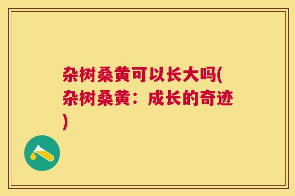 杂树桑黄可以长大吗(杂树桑黄:成长的奇迹) 杂树桑黄可以长大吗(杂树桑黄:成长的奇迹)