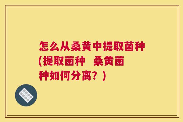怎么从桑黄中提取菌种(提取菌种 桑黄菌种如何分离?) 怎么从桑黄中提取菌种(提取菌种 桑黄菌种如何分离?)