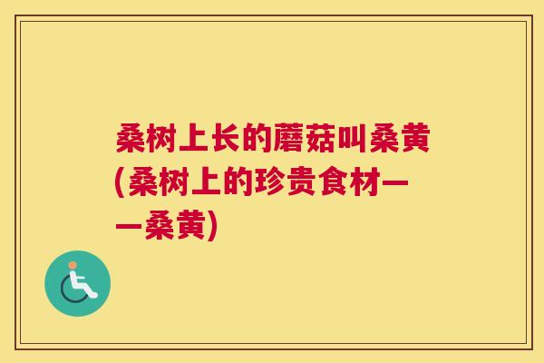 桑树上长的蘑菇叫桑黄(桑树上的珍贵食材——桑黄)