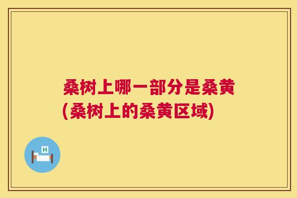 桑树上哪一部分是桑黄(桑树上的桑黄区域) 桑树上哪一部分是桑黄(桑树上的桑黄区域)
