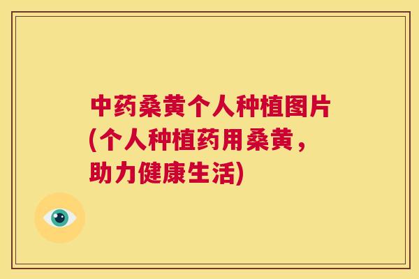 桑黄个人种植图片(个人种植药用桑黄,助力健康生活) 桑黄个人种植图片(个人种植药用桑黄,助力健康生活)