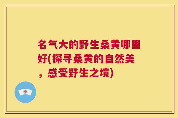 名气大的野生桑黄哪里好(探寻桑黄的自然美,感受野生之境) 名气大的野生桑黄哪里好(探寻桑黄的自然美,感受野生之境)