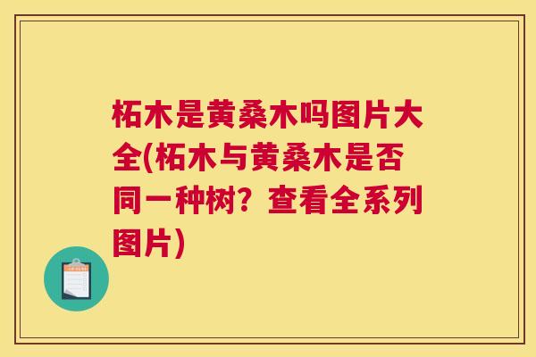 柘木是黄桑木吗图片大全(柘木与黄桑木是否同一种树?查看全系列图片) 柘木是黄桑木吗图片大全(柘木与黄桑木是否同一种树?查看全系列图片)