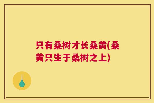 只有桑树才长桑黄(桑黄只生于桑树之上) 只有桑树才长桑黄(桑黄只生于桑树之上)