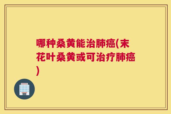 哪种桑黄能(末花叶桑黄或可) 哪种桑黄能(末花叶桑黄或可)