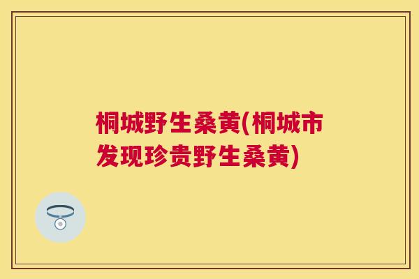 桐城野生桑黄(桐城市发现珍贵野生桑黄) 桐城野生桑黄(桐城市发现珍贵野生桑黄)
