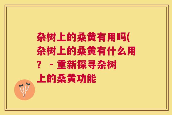 杂树上的桑黄有用吗(杂树上的桑黄有什么用? - 重新探寻杂树上的桑黄功能 杂树上的桑黄有用吗(杂树上的桑黄有什么用? - 重新探寻杂树上的桑黄功能