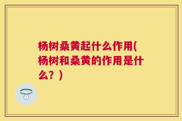 杨树桑黄起什么作用(杨树和桑黄的作用是什么?) 杨树桑黄起什么作用(杨树和桑黄的作用是什么?)
