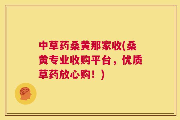 中草药桑黄那家收(桑黄专业收购平台,优质草药放心购!) 中草药桑黄那家收(桑黄专业收购平台,优质草药放心购!)