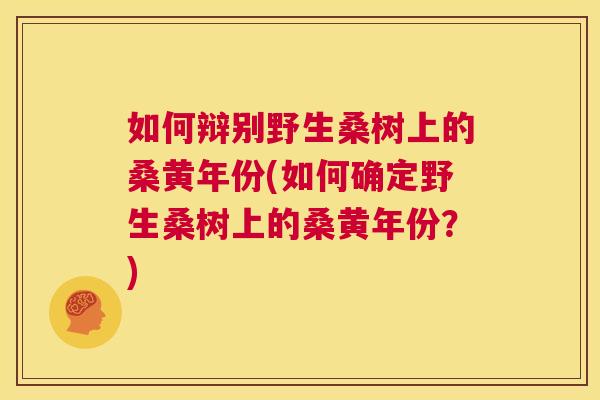 如何辩别野生桑树上的桑黄年份(如何确定野生桑树上的桑黄年份?) 如何辩别野生桑树上的桑黄年份(如何确定野生桑树上的桑黄年份?)